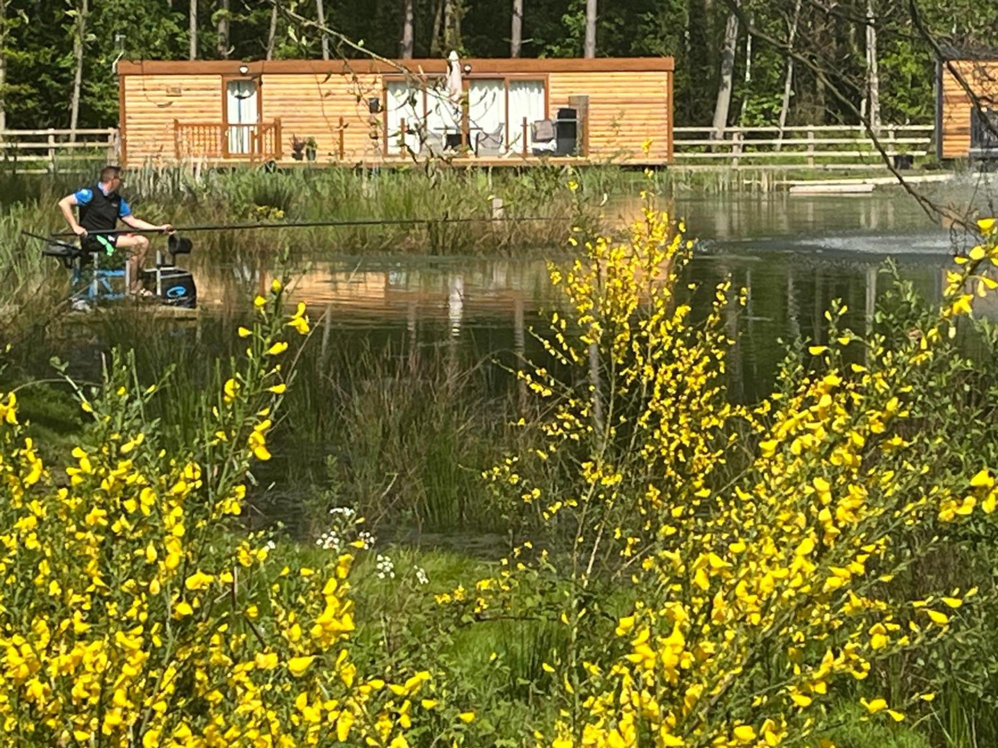 Rowan Boutique Lodge For Couples With A Dog Йорк Екстер'єр фото